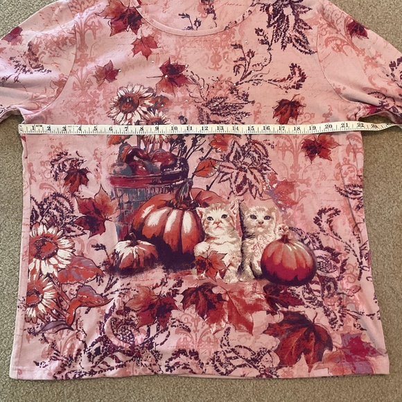 size XL, bust is up to 44 inches, kittens and pumpkins shirt, new 🐈‍⬛ condition - Picture 4 of 7